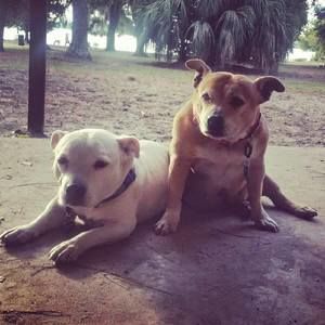 Meet your Posher, Roberta